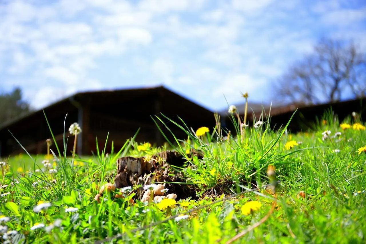 Country house Can Planes Hotel La Vall de Bianya